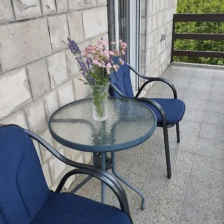 Apartment Petar Trebinje